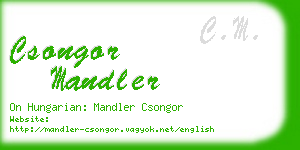 csongor mandler business card